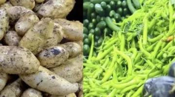 أسعار البطاطس والخضار في مصر تتغير اليوم 29 نوفمبر 2025